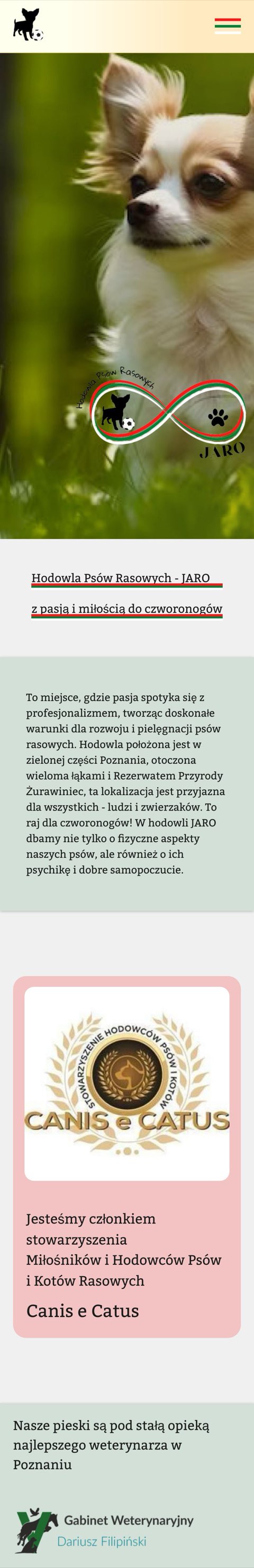 Chihuahua Jaro, wersja mobilna