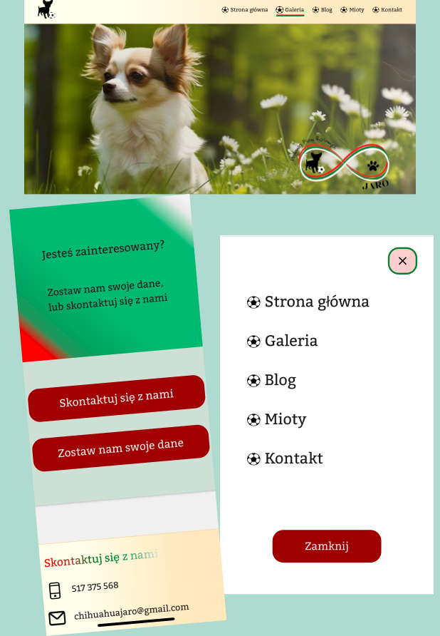 Chihuahua Jaro
